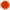 Sacred Face